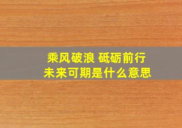 乘风破浪 砥砺前行 未来可期是什么意思